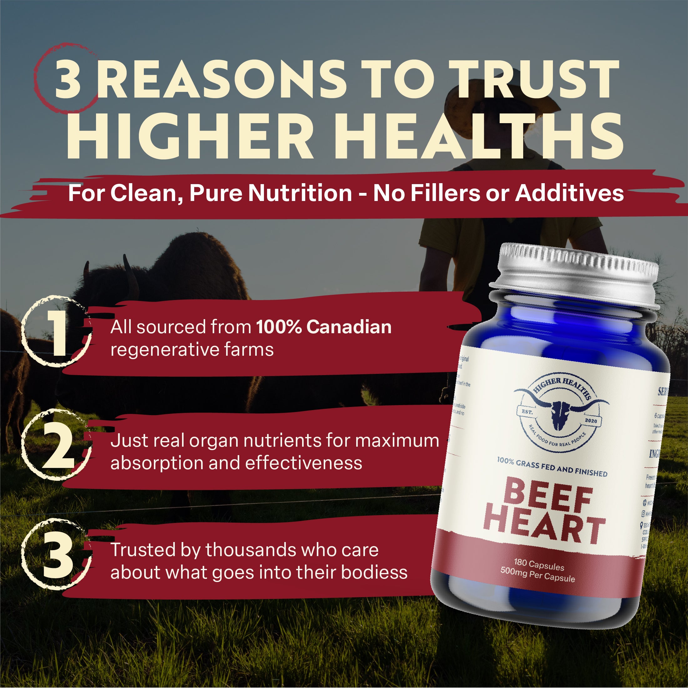 Beef Heart - Antioxidant Abundance