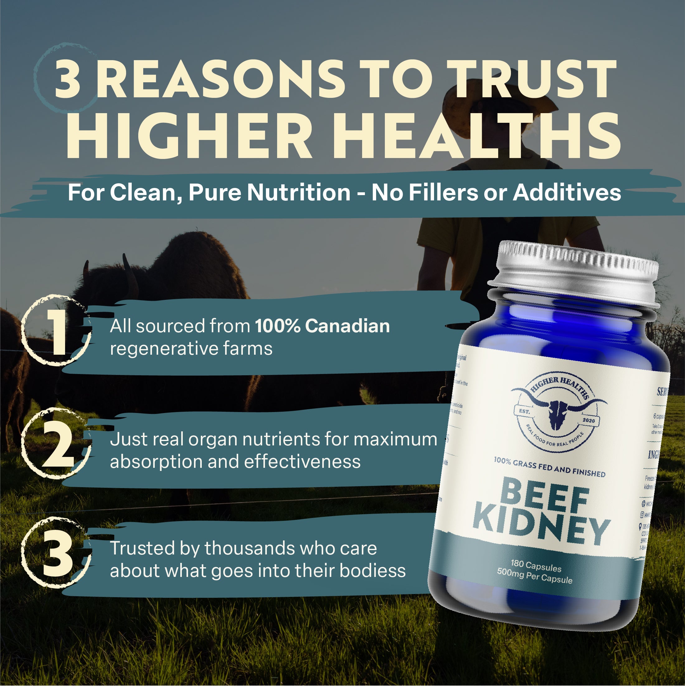 Beef Kidney - Immune Maker