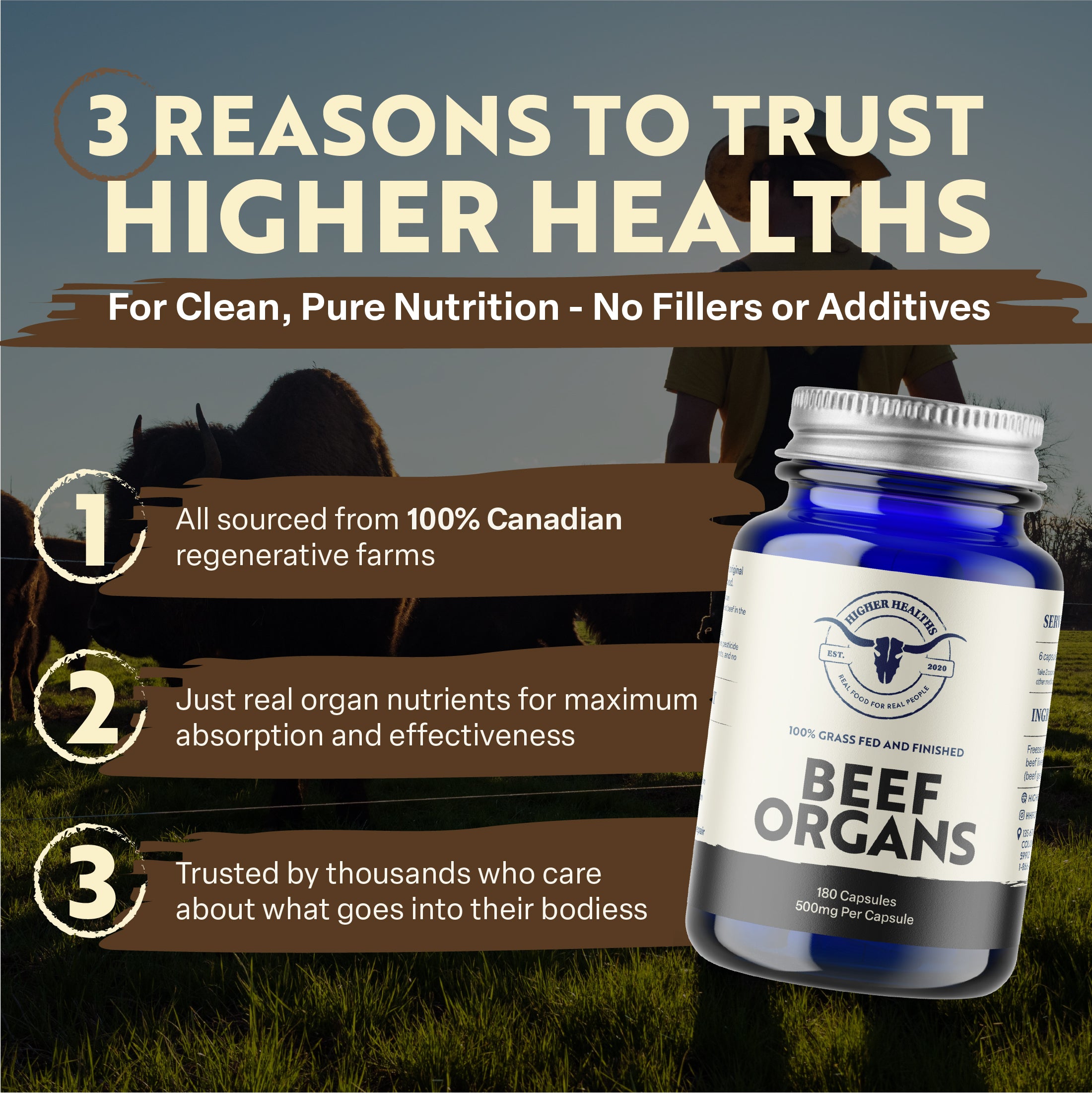 Beef Liver - Nature’s Multivitamin