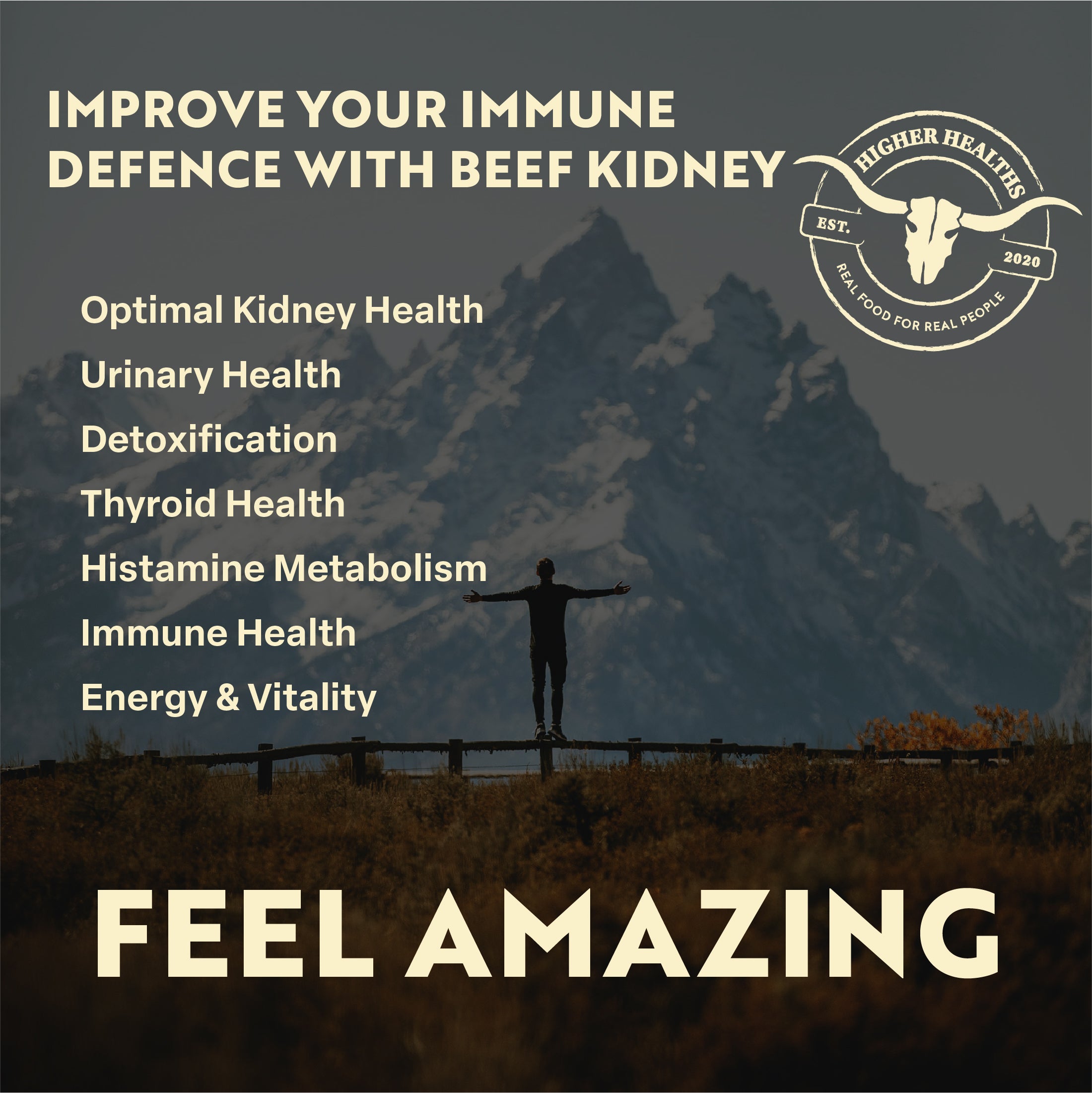 Beef Kidney - Immune Maker